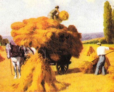 30157.jpg