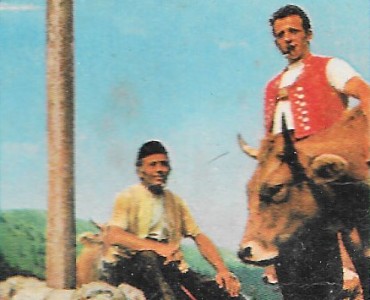 30351.jpg