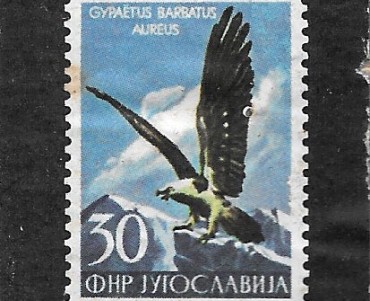 30787.jpg