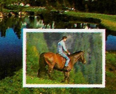 31094.jpg