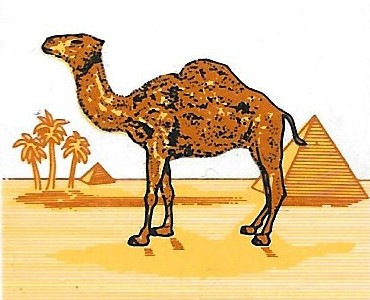 31153.jpg