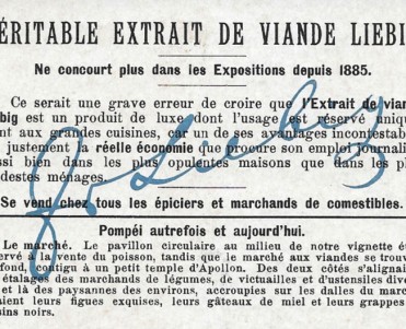 3139.jpg