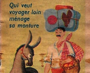 31478.jpg
