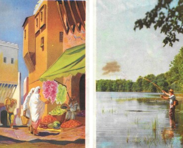 32550.jpg