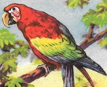3259.jpg