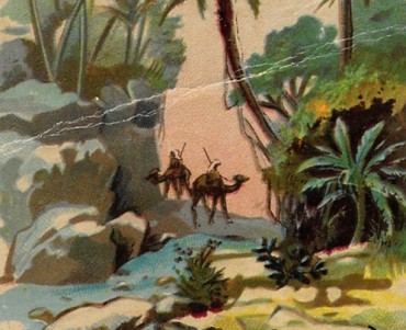 3273.jpg