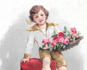 34157.jpg