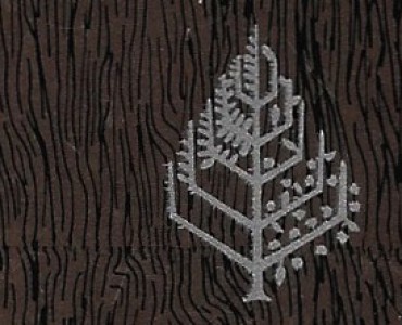 34947.jpg
