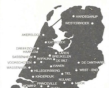 34978.jpg