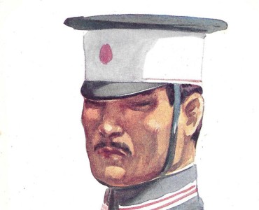 35716.jpg