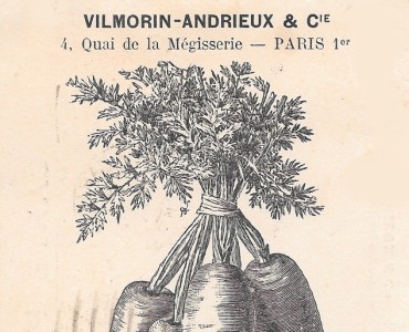 Carte Postale Vilmorin-Andrieux