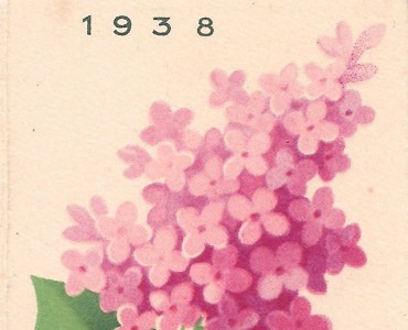 38054.jpg