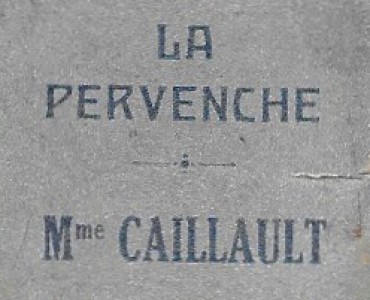 5196.jpg