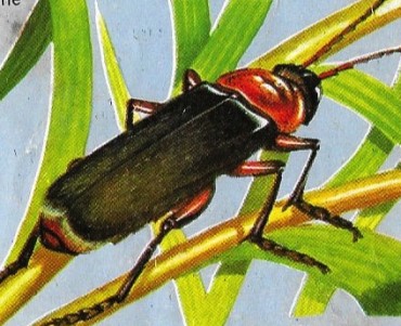 5553.jpg