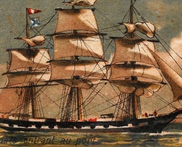 7942.jpg