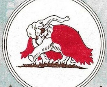 8155.jpg