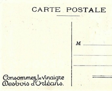 8631.jpg