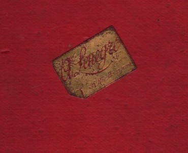 8785.jpg