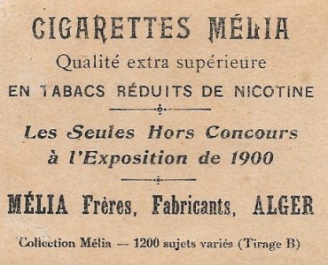 9145.jpg