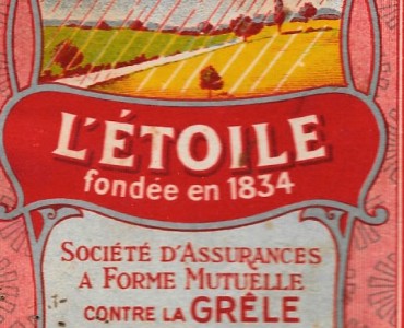 9567.jpg